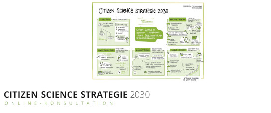 Citizen Science Stategie 2030