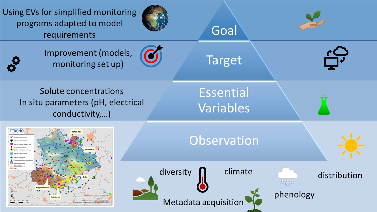 Graphical abstract