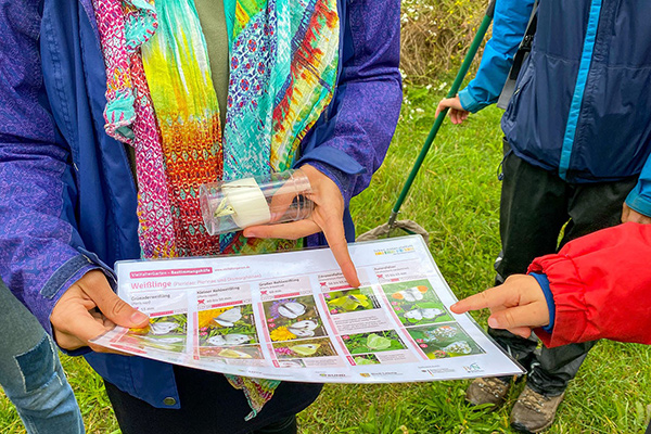 Bestimmung von Schmetterlingen im  Projekt VielFalterGarten. Copyright: UFZ