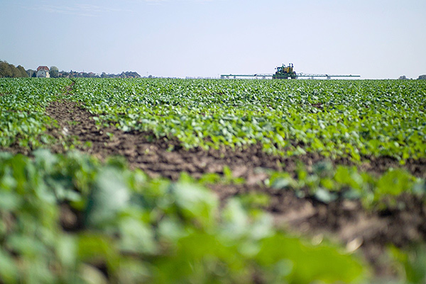 Die EU will den Einsatz von Pestiziden bis 2030 halbieren. Foto: André Künzelmann / UFZ