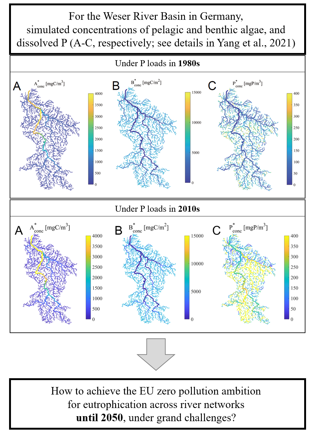 simulated algae concetrations in Weser river basin, from Yang et al., 2021