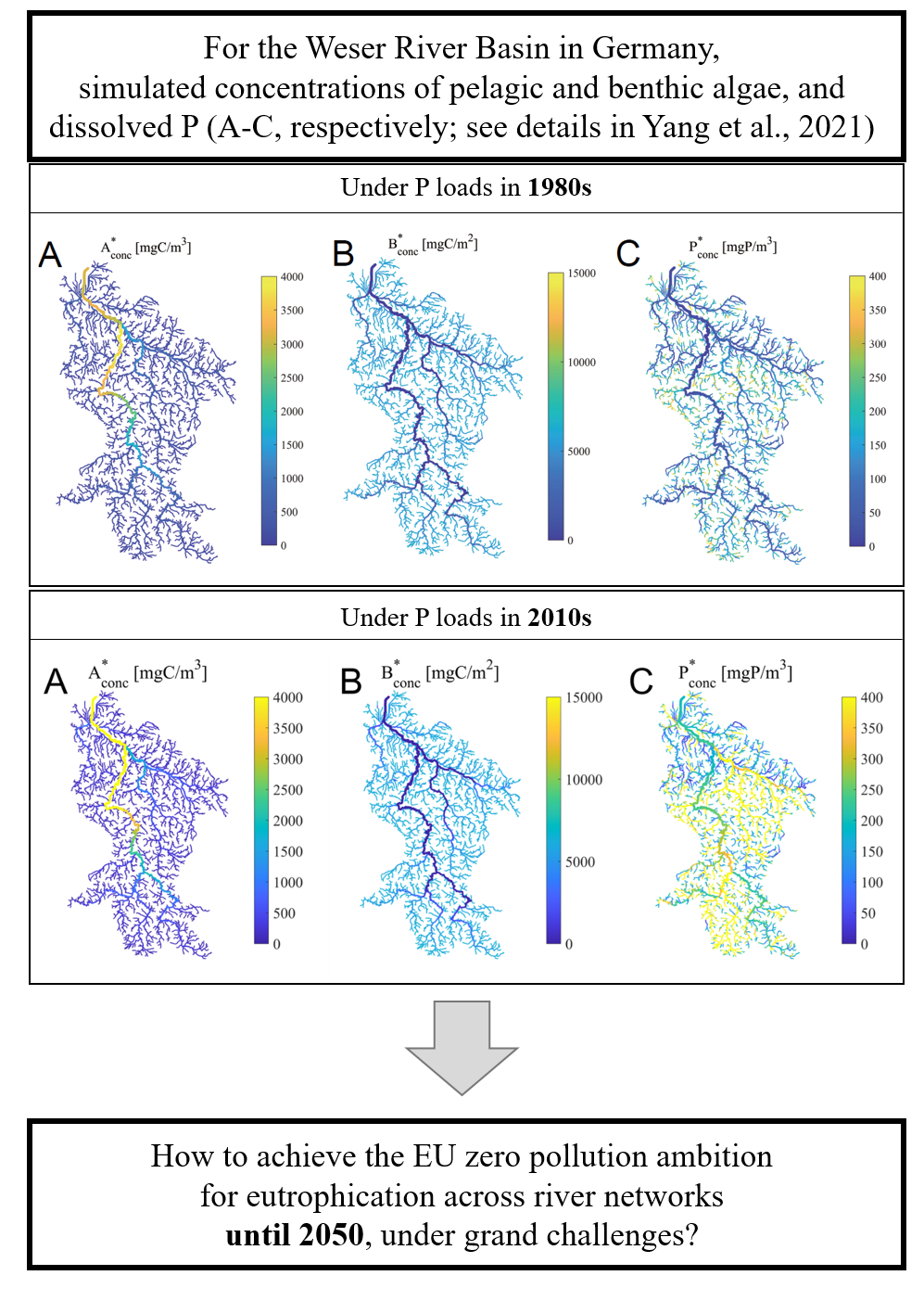 simulated algae concetrations in Weser river basin, from Yang et al., 2021 simulated algae concetrations in Weser river basin, from Yang et al., 2021