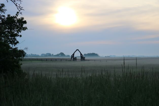 Kranichtor im Morgenebel, Gülpe, Havelaue - Brandenburg. Fotoautorin: Stephanie Nato