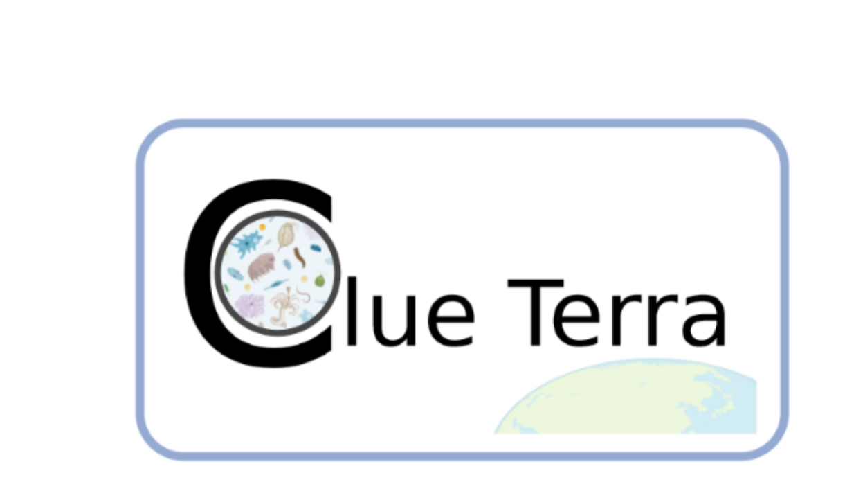 clueterra_logo