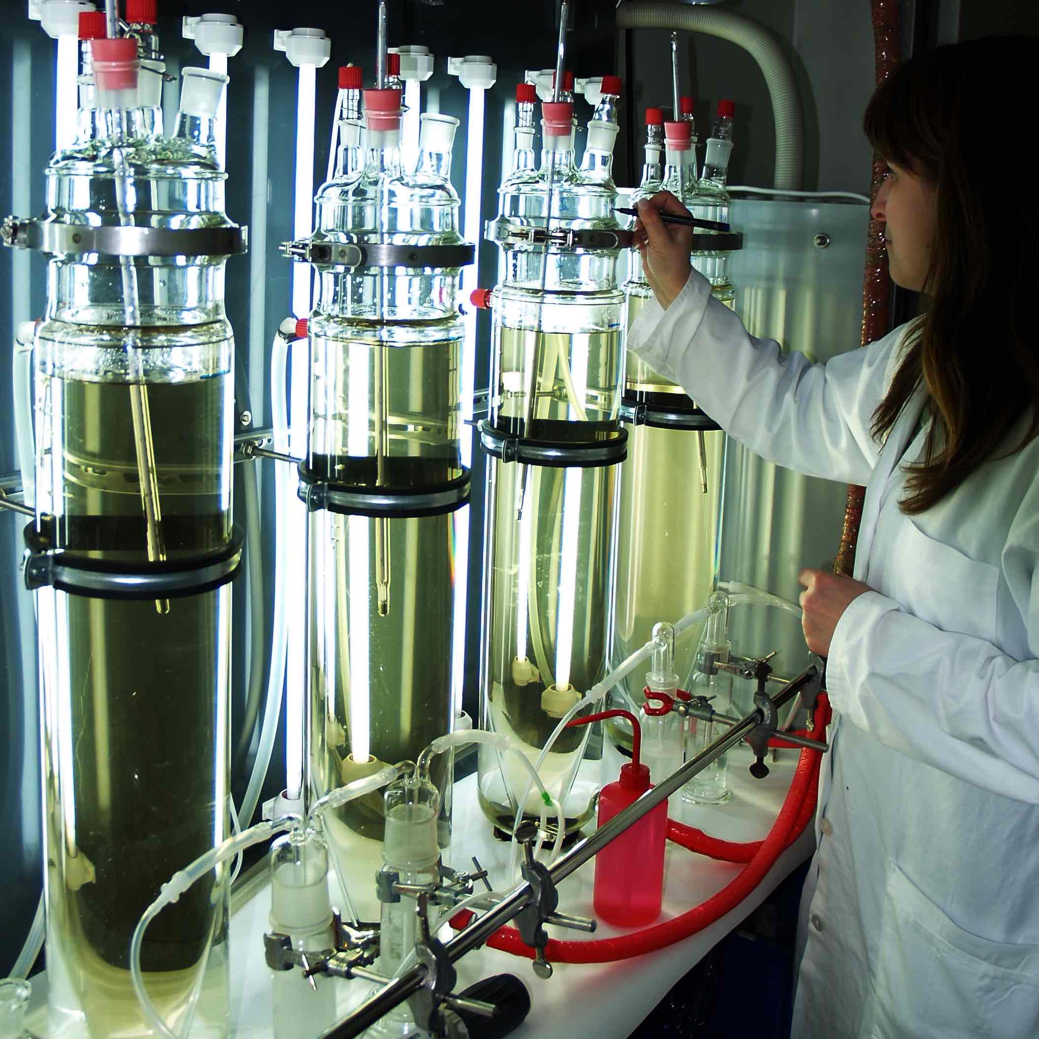 Laborexperimente in Chemostaten Laborexperimente in Chemostaten