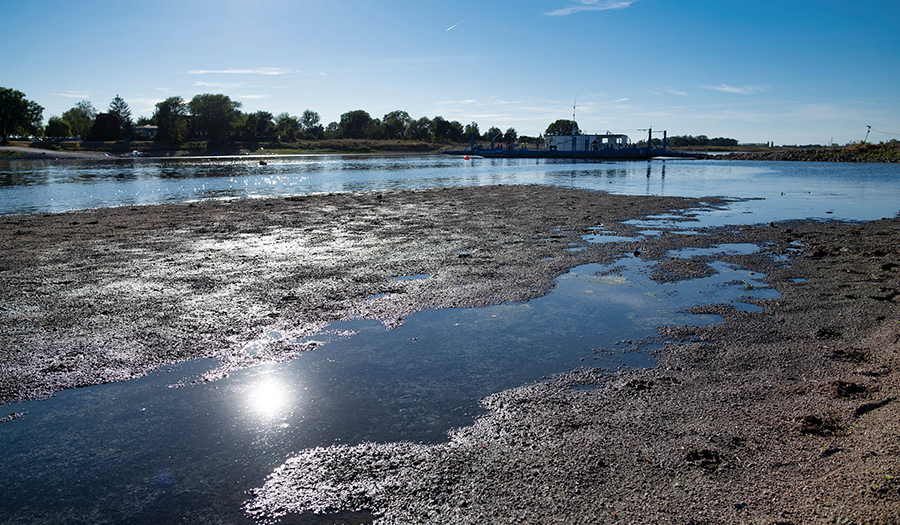 Niedrigwasser Elbe bei Barby © André Kuenzelmann / UFZ