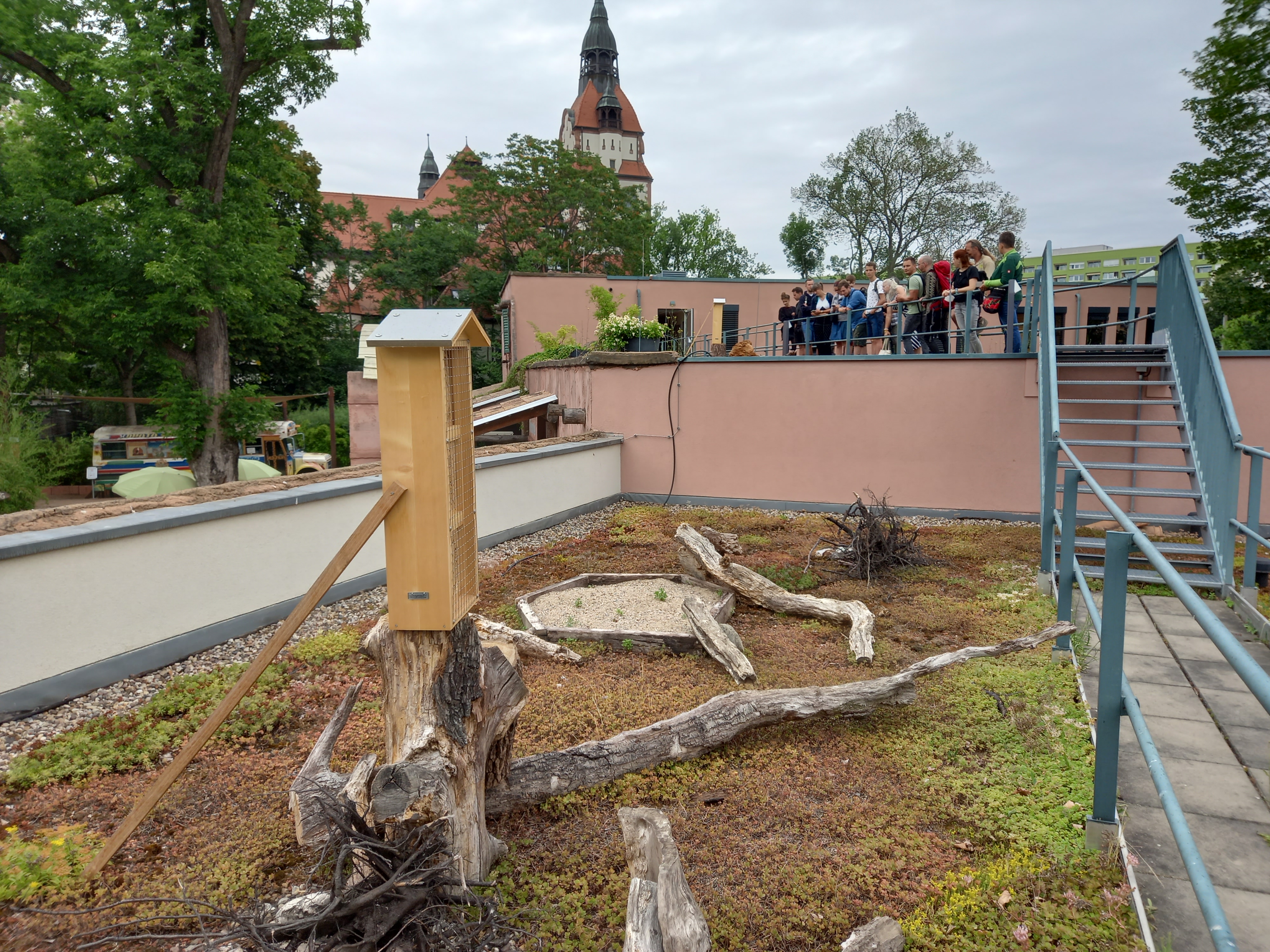 Visit to the biodiversity green roof (ZOO Leipzig)