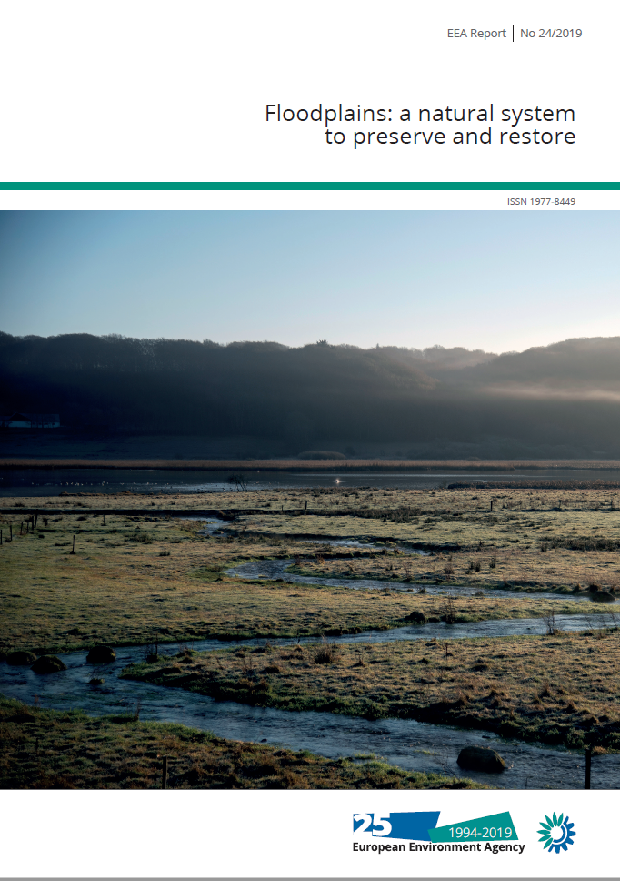 "Floodplains: a natural system to preserve and restore"