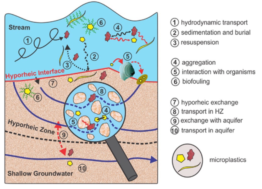 Microplastics in fluvial systems