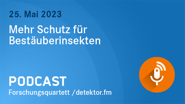Grafik Podcast Grafik Podcast