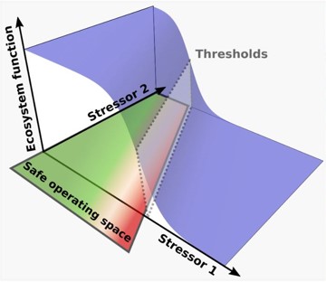 Conceptual approach