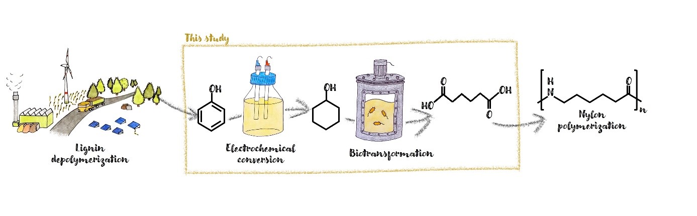 Grafik zum Herstellungsprozess von biobasiertem Nylon