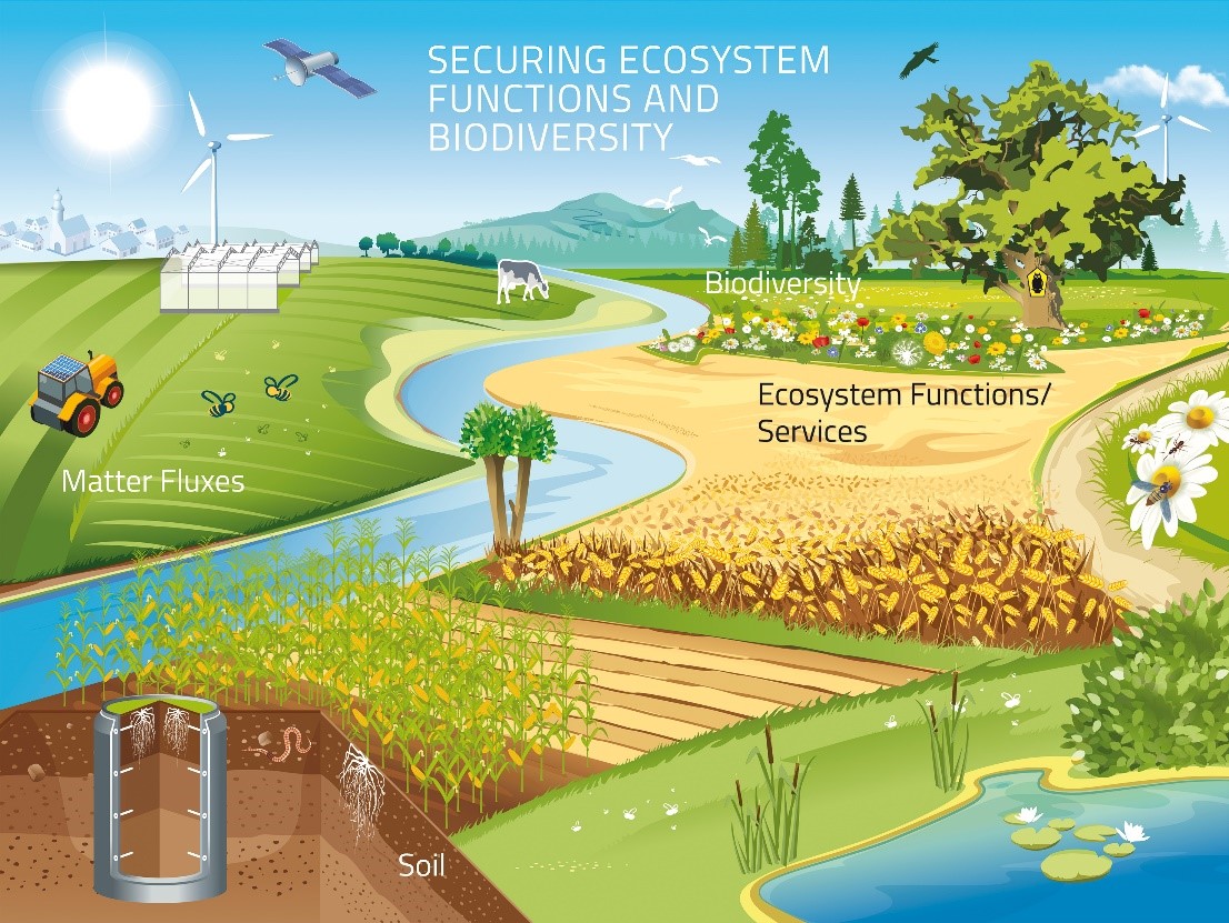 IP Sustainable Land Use