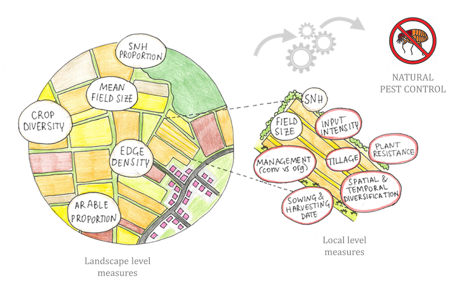 Uber and dating: marginal utility and opportunity cost : Planet