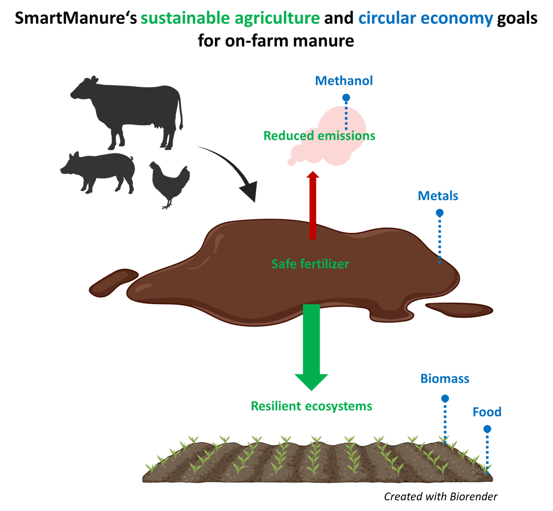 SmartManure Goals