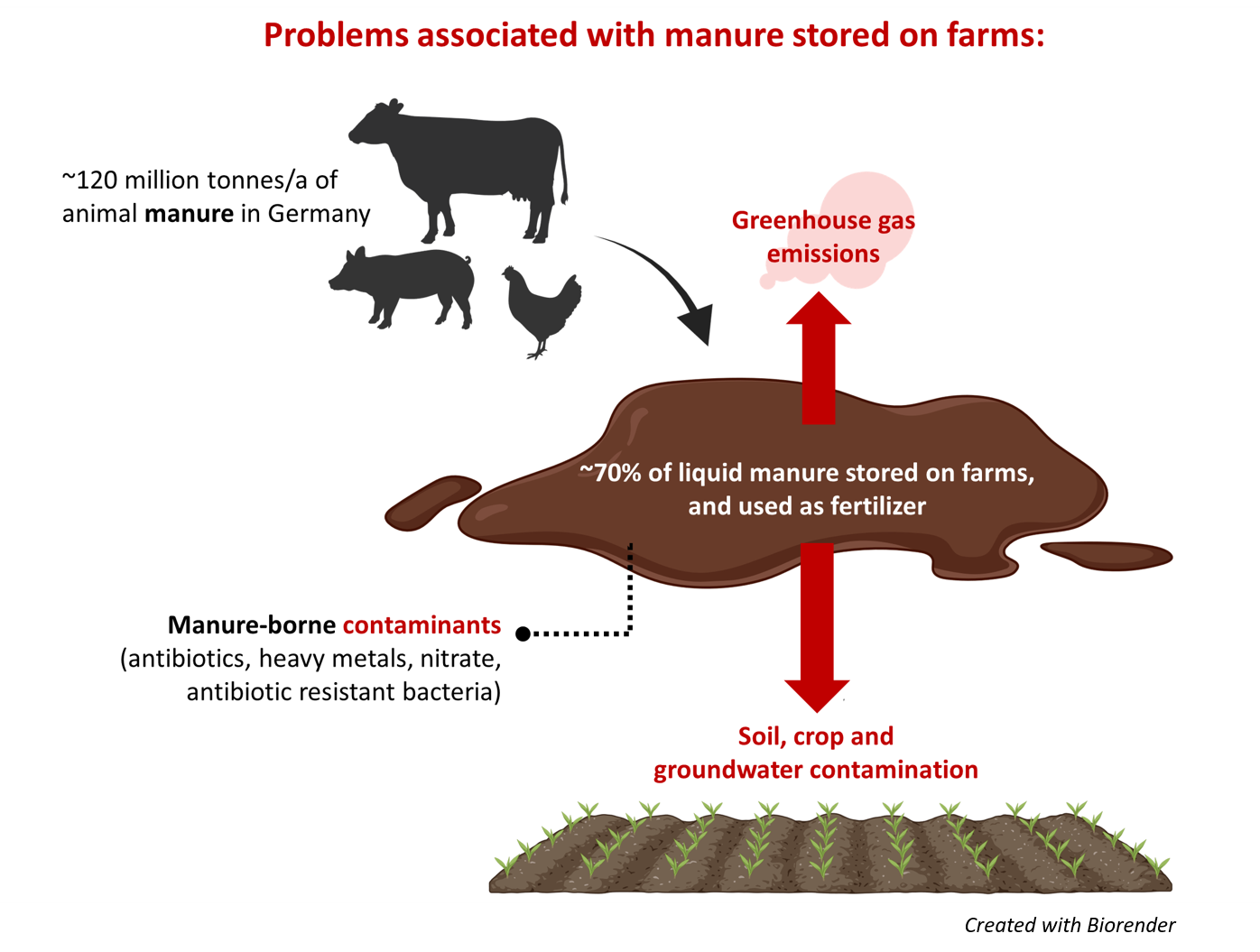 Manure Problems