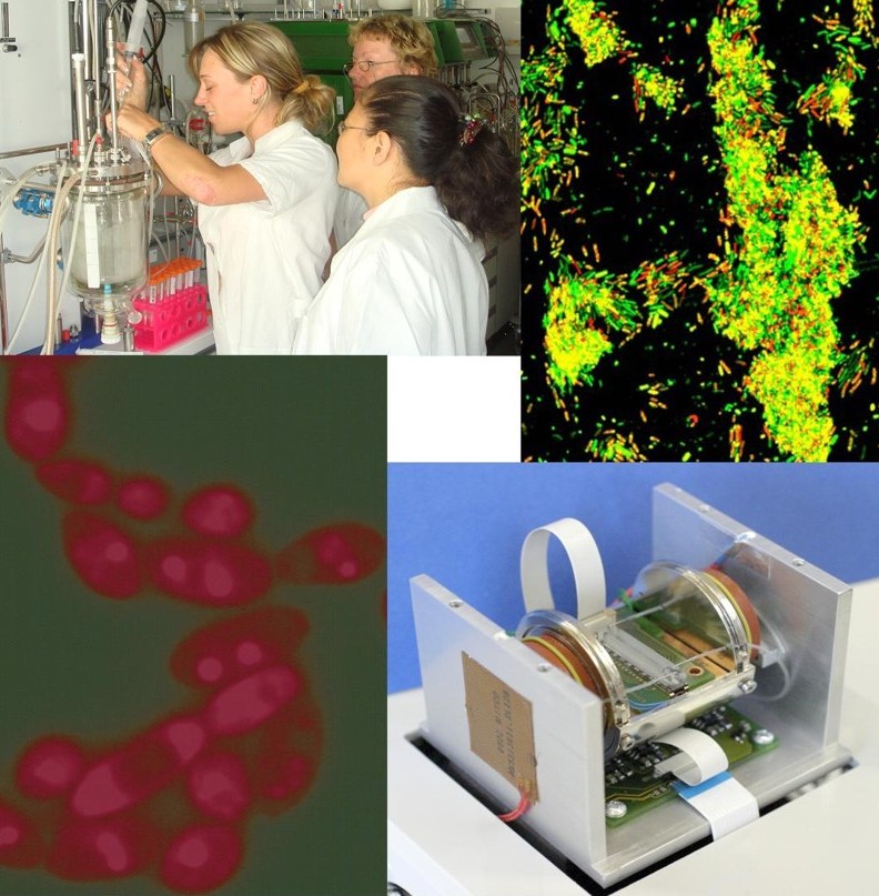 Ökothermodynamik / Biokalorimetrie Ökothermodynamik / Biokalorimetrie