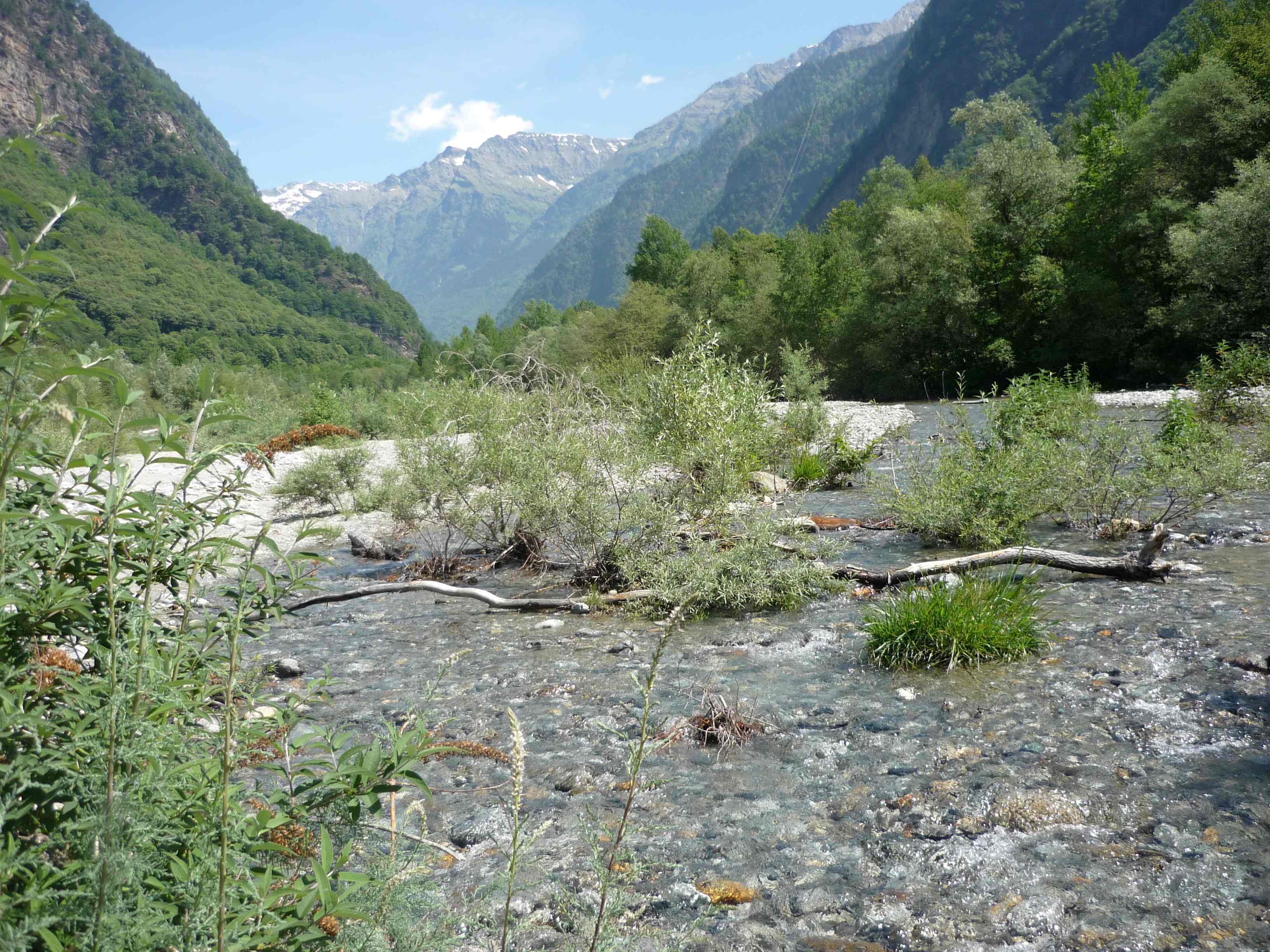 Maggia - Tessin - Schweiz. Fotoautorin: Sabine Fink