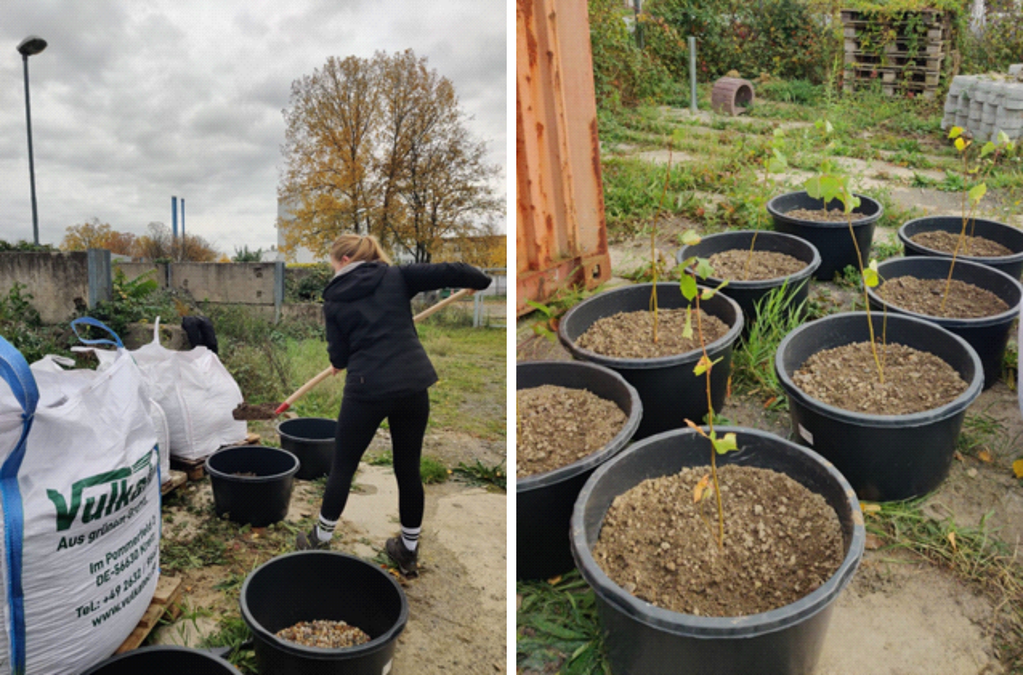 Contaminant biodegradation in urban runoff Contaminant biodegradation in urban runoff
