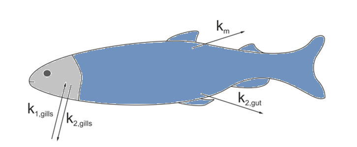 Bioaccumulation of superhydrophobic chemicals