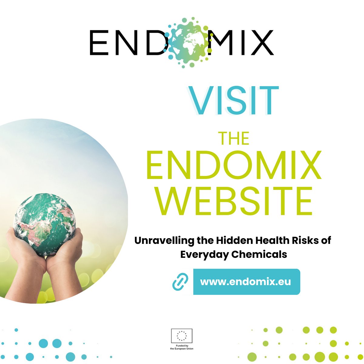 ENDOMIX Website