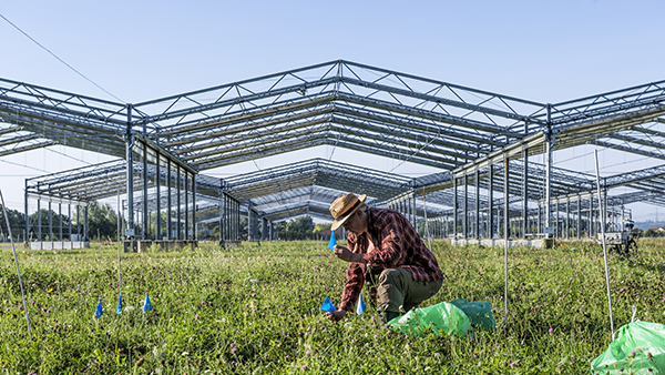 GCEF in Bad Lauchstädt © André Künzelmann_UFZ