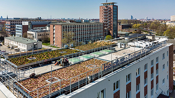 Forschungsgründach. Foto: UFZ