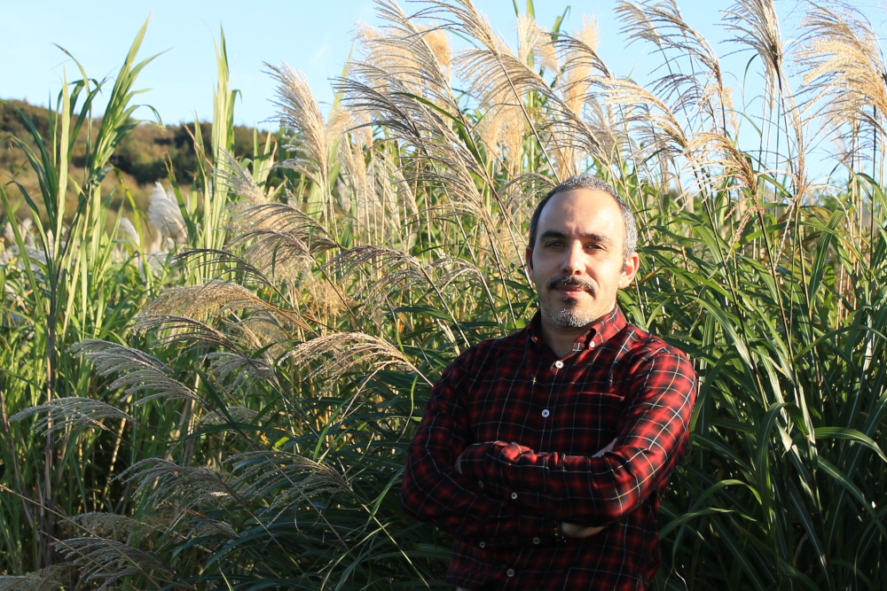 Bild von mir in einem Miscanthus-Feld während meiner Doktorarbeit, Aberystwyth (UK), 2018 Bild von mir in einem Miscanthus-Feld während meiner Doktorarbeit, Aberystwyth (UK), 2018