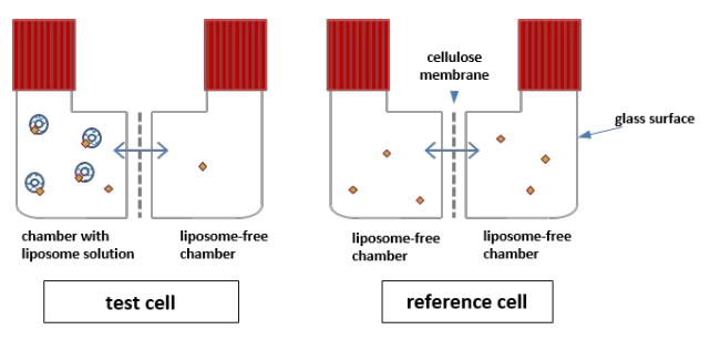 Measuring partition coefficients