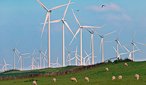 Windäder in Landschaft. Quelle: UFZ