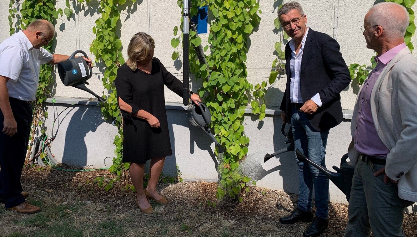Einweihung der Grünfassaden im Projekt „Lebendige Wände“