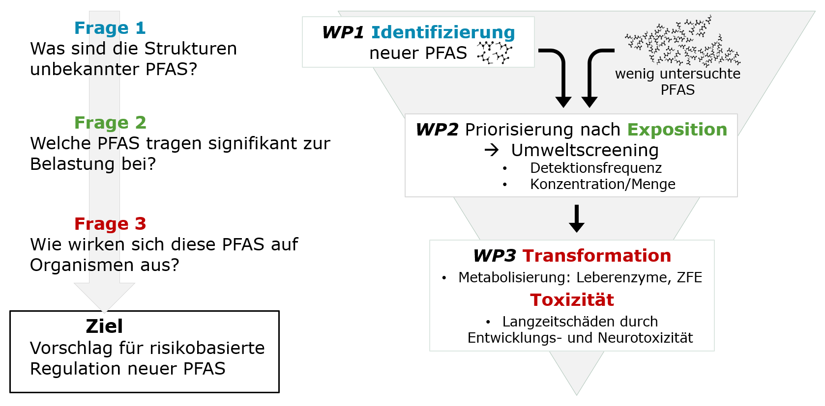 Überblick Fragestellung PFAS Risk Projekt