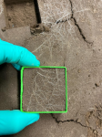 Soil sampling for mapping metals