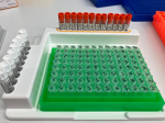 Sample preparation for sequencing