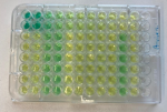 Ammonium colorimetric technique