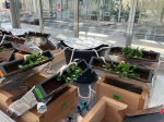 Rhizobox experiment set up