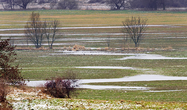 Archivbild:  Hochwassersituation Januar 2011, Flutsituation am Bode-Selke Zusammenfluss. Foto: André Künzelmann/UFZ