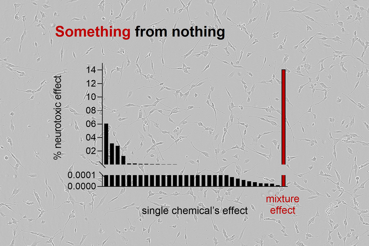 Grafik zur Publikation Science Georg Braun