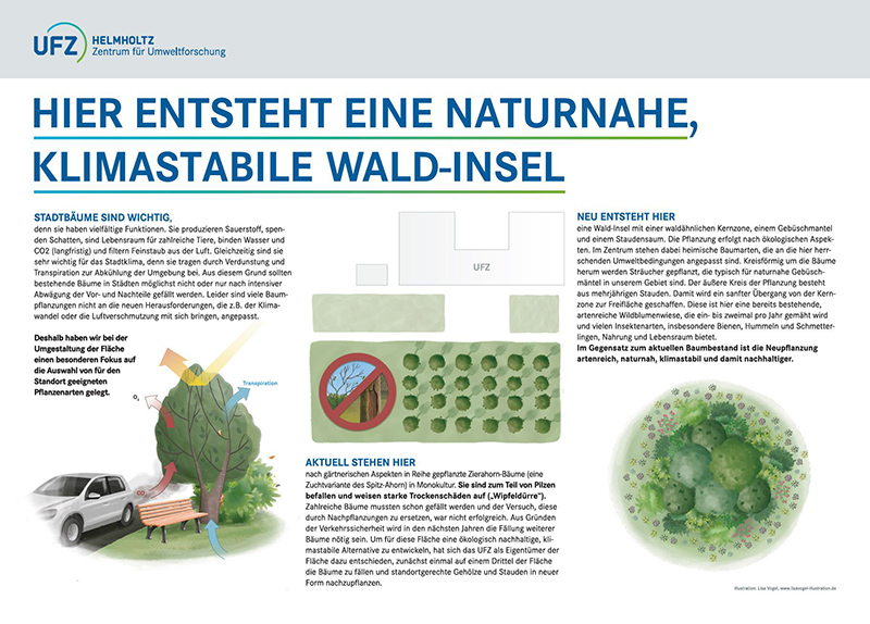 Schematische Darstellung zur Entstehung von naturnahen, klimastabilen Wald-Inseln am Standort Halle. Quelle:UFZ Schematische Darstellung zur Entstehung von naturnahen, klimastabilen Wald-Inseln am Standort Halle. Quelle:UFZ