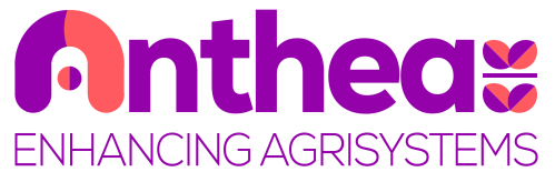 Das Logo des Projekts Anthea Das Logo des Projekts Anthea