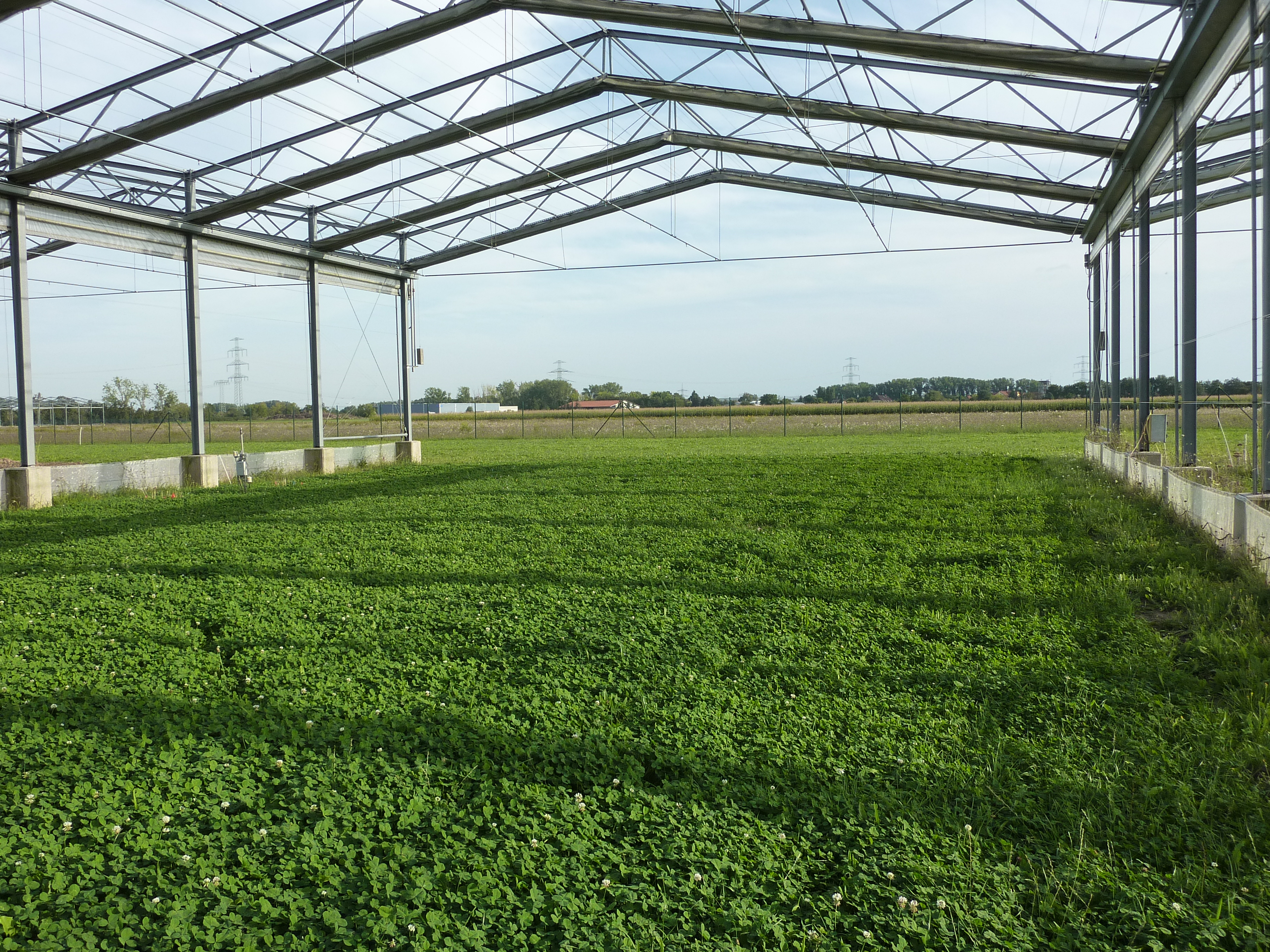 Organic farming in the GCEF (Photo: Christiane Roscher)