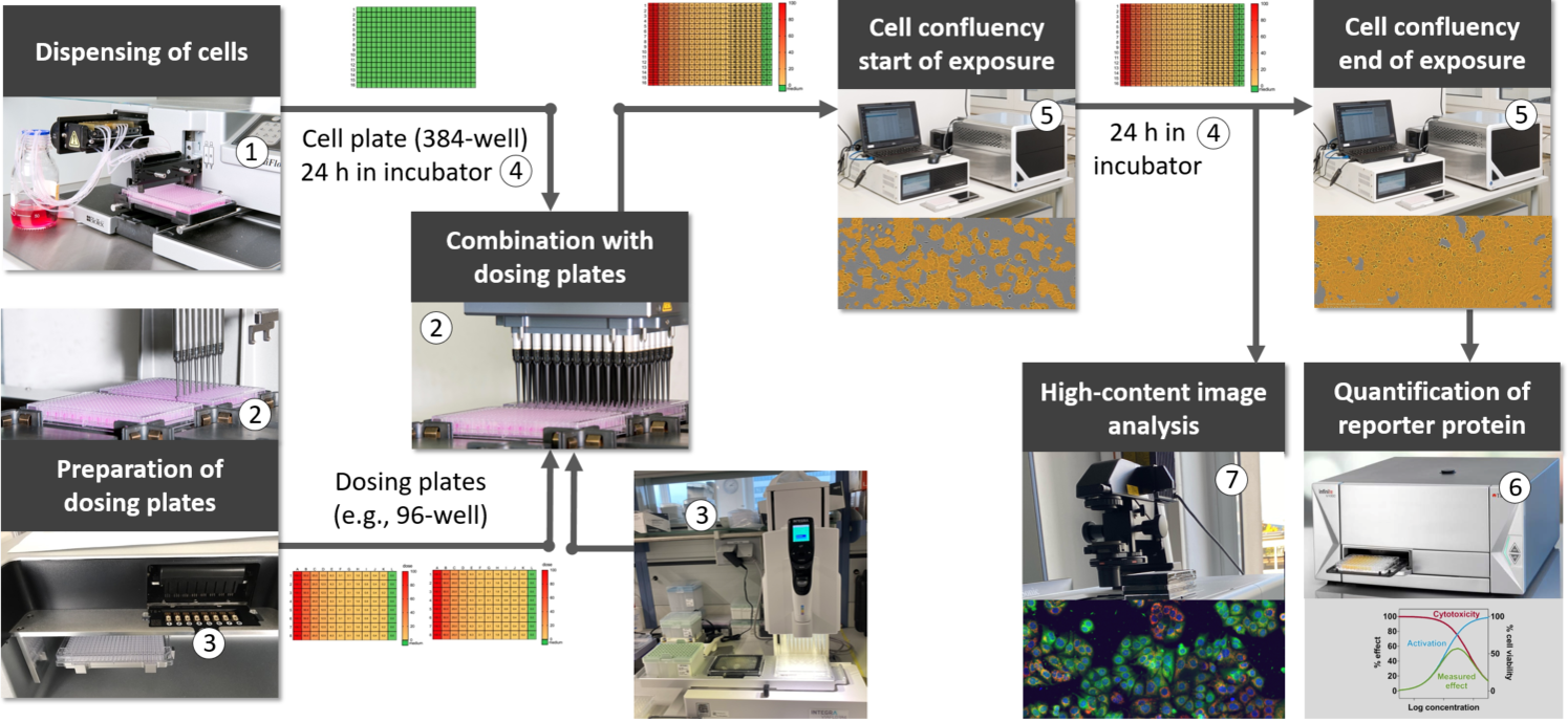 High-throughput cell-based bioassays