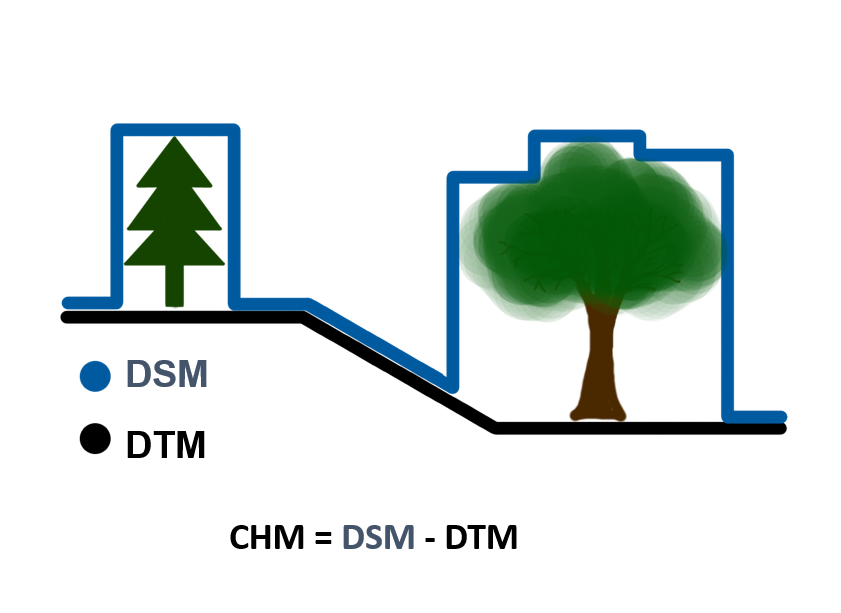 Prinzip zur Erstellung des Kronhöhenmodells aus digitalem Oberflächenmodell (DSM) und digitalem Geländemodell (DTM)
