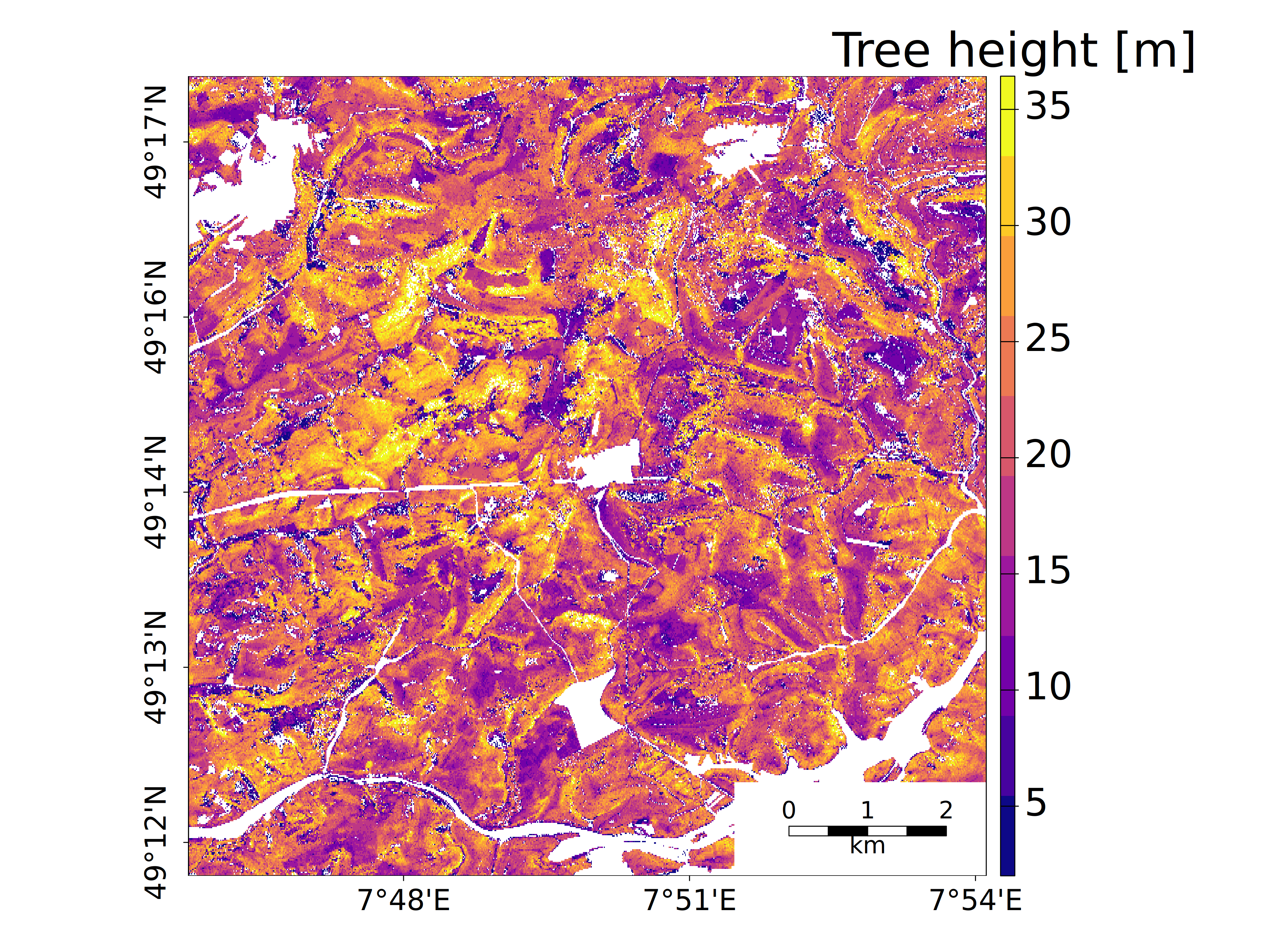Abgeleitete Baumkronenhöhe für Teile des Pflälzer Waldes (  © GeoBasis-DE / BKG 2016 / 2020)
