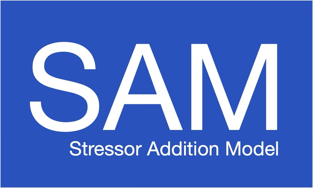 Stress Additions Modell (SAM) Stress Additions Modell (SAM)