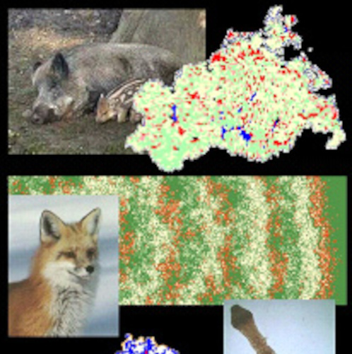 figure1