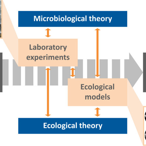 figure1