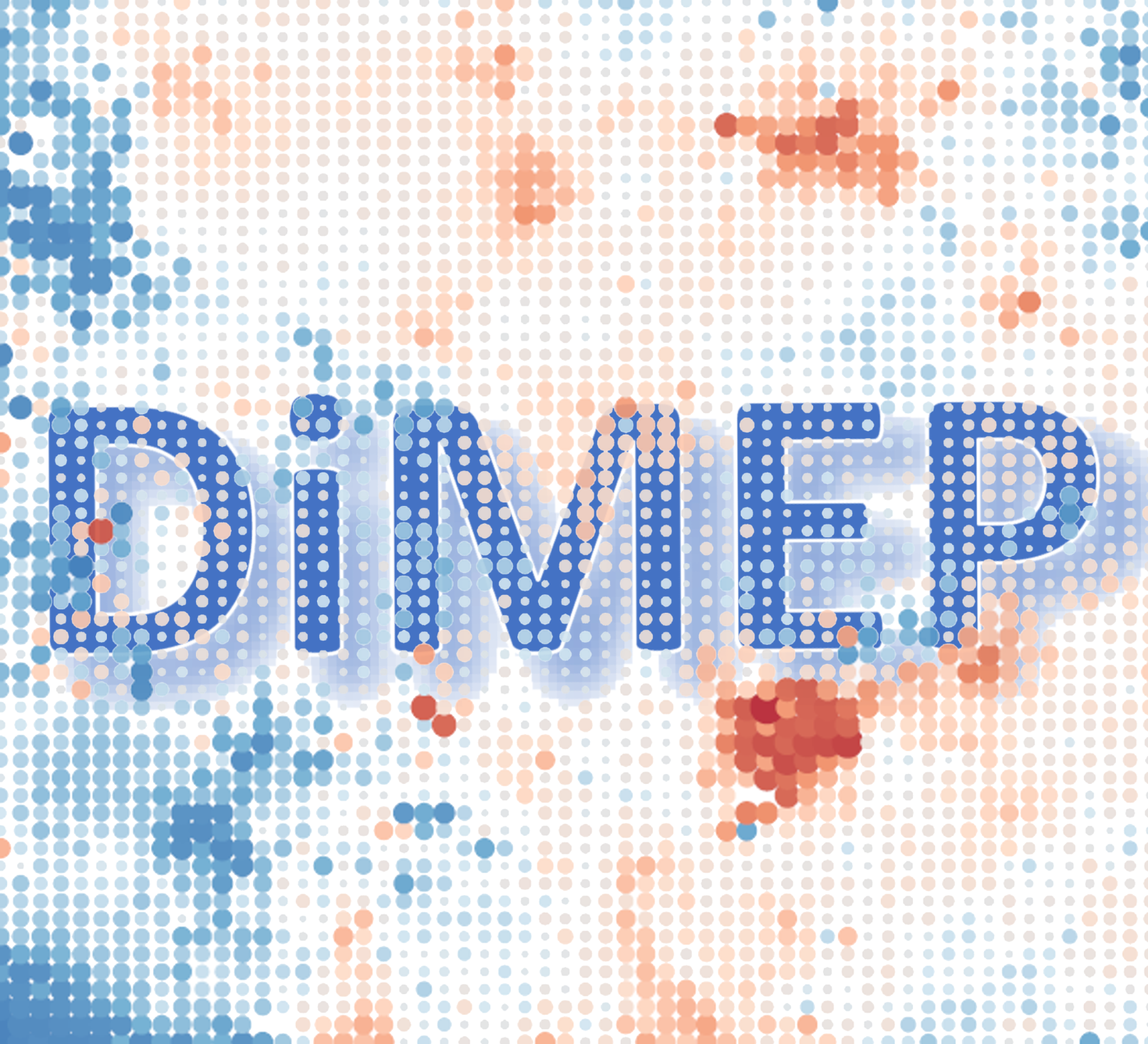 DiMEP logo DiMEP logo