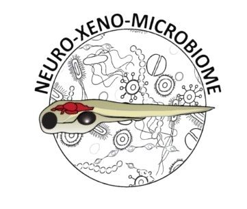 Logo NeuroXeno Logo NeuroXeno