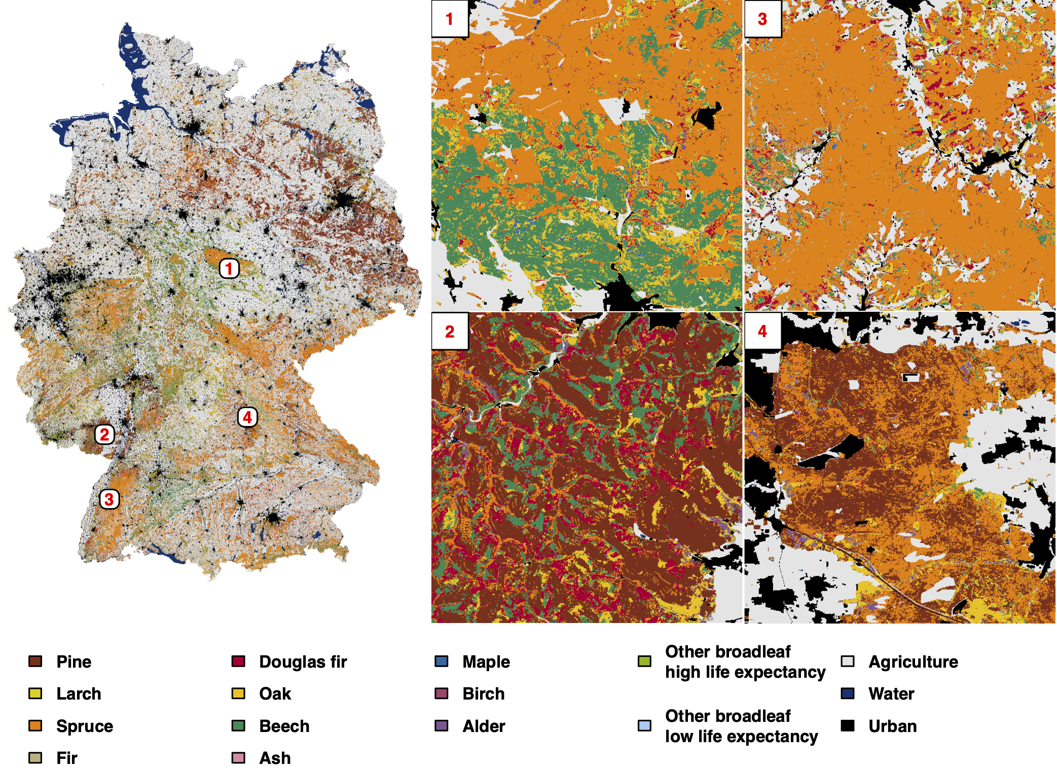 Landbedeckungs- und Landnutzungsklassifikation Landbedeckungs- und Landnutzungsklassifikation
